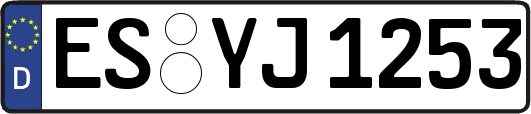 ES-YJ1253
