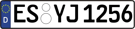ES-YJ1256