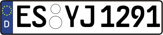 ES-YJ1291