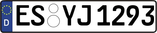 ES-YJ1293