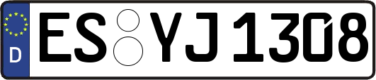 ES-YJ1308