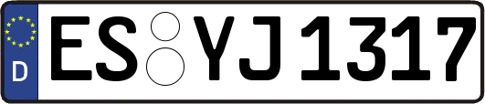 ES-YJ1317