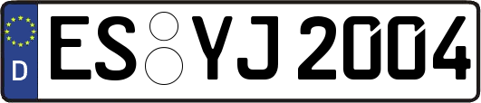ES-YJ2004