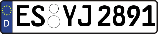 ES-YJ2891