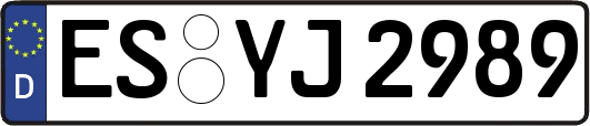 ES-YJ2989