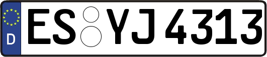 ES-YJ4313