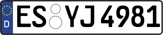 ES-YJ4981