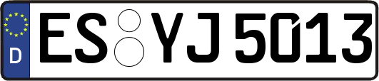 ES-YJ5013