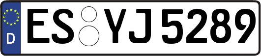 ES-YJ5289