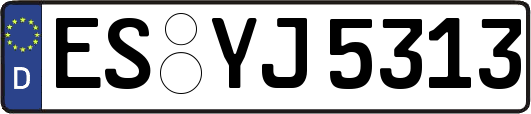 ES-YJ5313