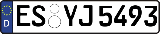 ES-YJ5493