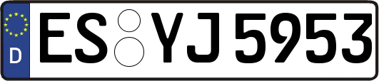 ES-YJ5953