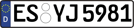 ES-YJ5981
