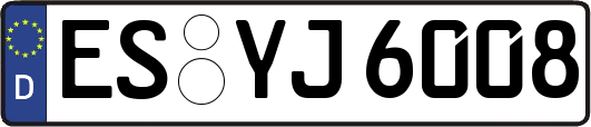 ES-YJ6008
