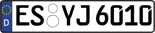 ES-YJ6010