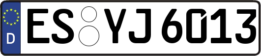 ES-YJ6013