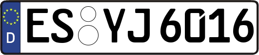ES-YJ6016