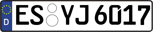 ES-YJ6017