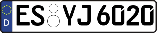ES-YJ6020