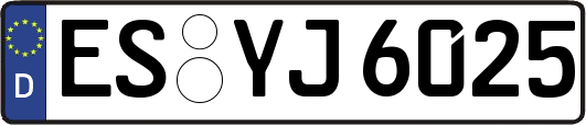 ES-YJ6025