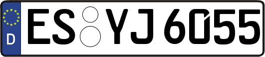 ES-YJ6055