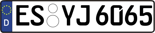 ES-YJ6065