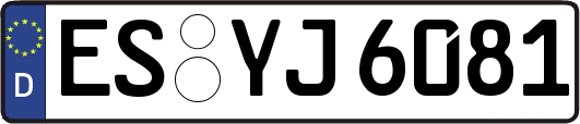 ES-YJ6081