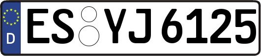 ES-YJ6125