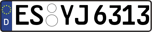 ES-YJ6313