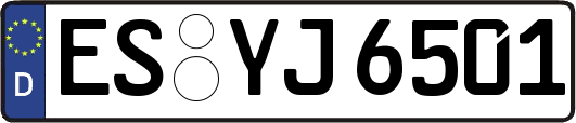 ES-YJ6501