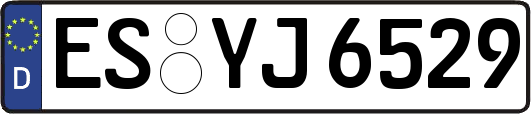ES-YJ6529