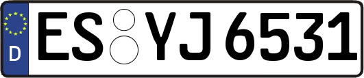ES-YJ6531