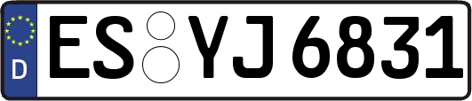ES-YJ6831