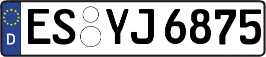 ES-YJ6875