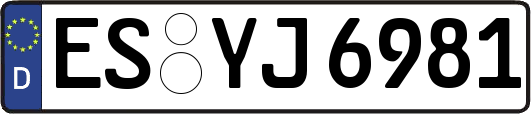 ES-YJ6981