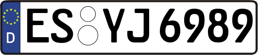 ES-YJ6989