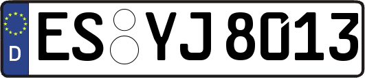 ES-YJ8013