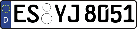 ES-YJ8051