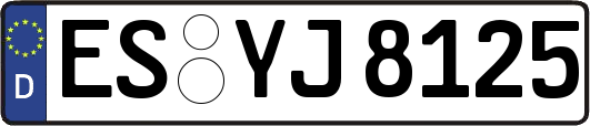 ES-YJ8125