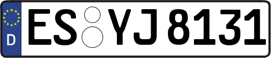 ES-YJ8131