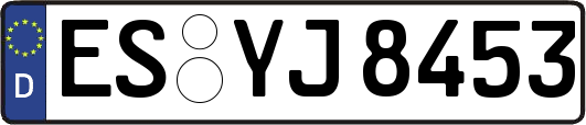 ES-YJ8453