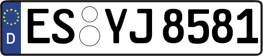 ES-YJ8581