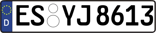 ES-YJ8613