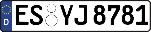 ES-YJ8781