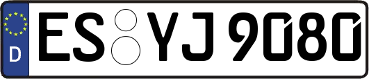 ES-YJ9080