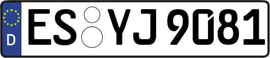 ES-YJ9081