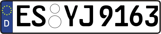 ES-YJ9163