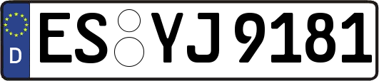 ES-YJ9181