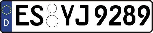 ES-YJ9289
