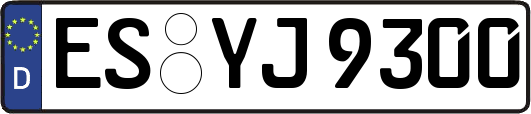 ES-YJ9300